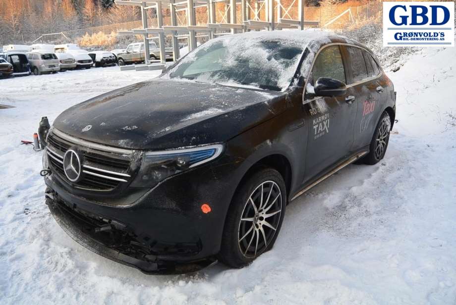 Mercedes EQC, 2019- (A 205 500 00 49)