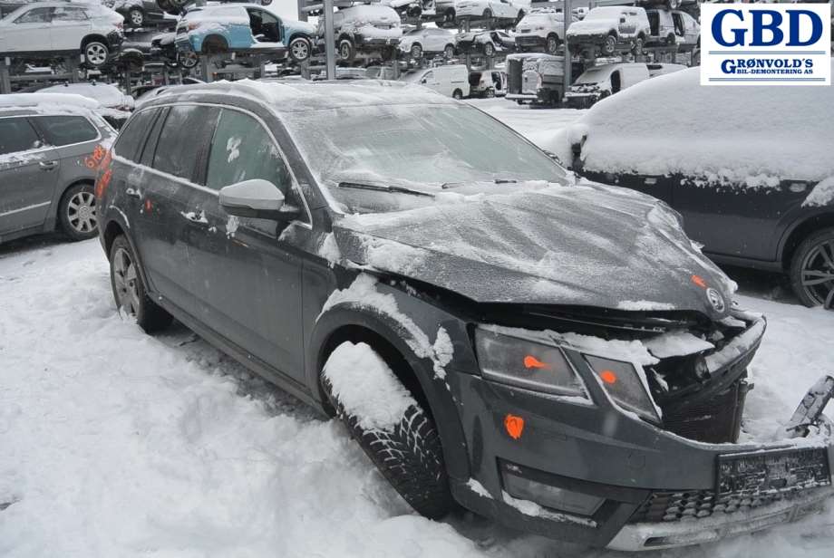 Škoda Octavia, 2017-2020 (Type III, Fase 2) (5E0 941 645)