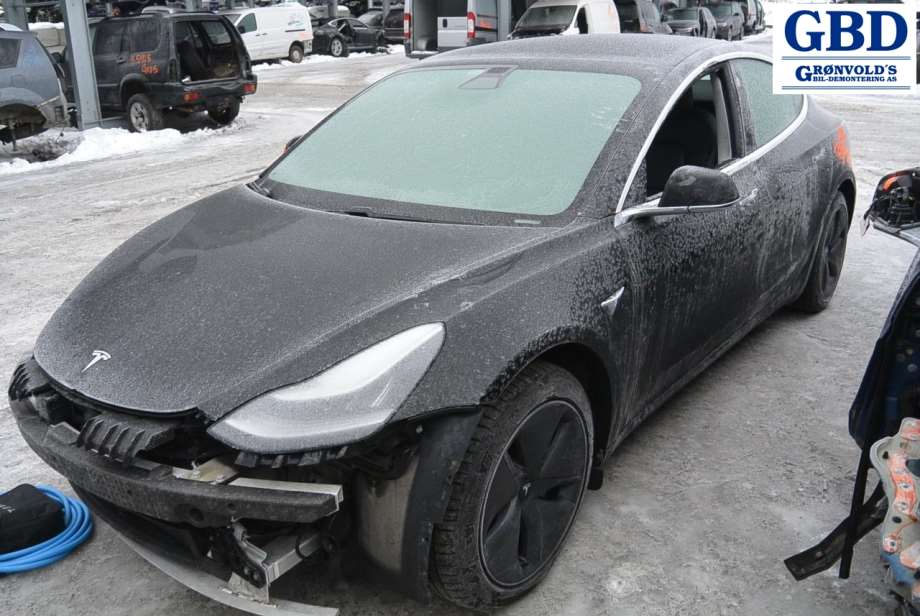 Tesla Model 3, 2018-2023 (Fase 1) (1076725-00-F)