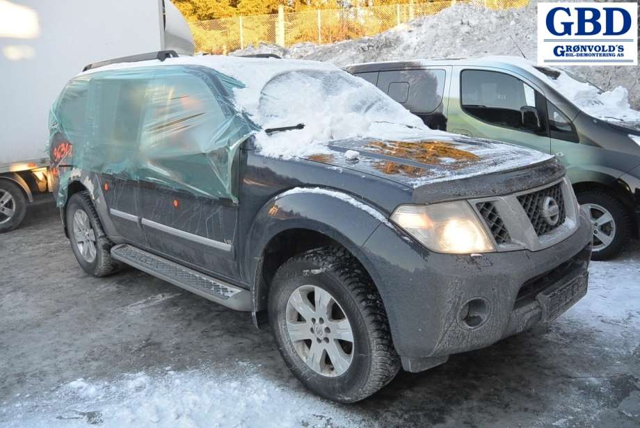 Nissan Pathfinder, 2010-2014 (R51, Fase 2) (385005X21B|385005X22B)