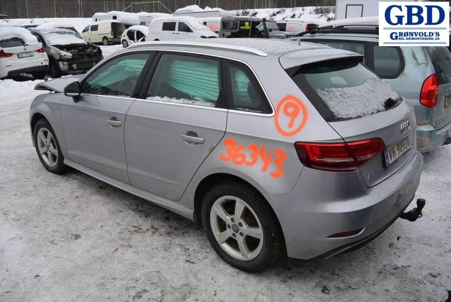 Audi A3, 2016-2020 (Type III, Fase 2) (8V1 955 023 D|8V1 955 119 A)