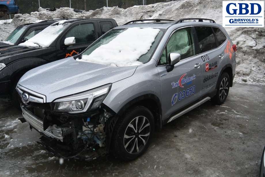 Subaru Forester, 2019- (Type V) (91036 SJ392)