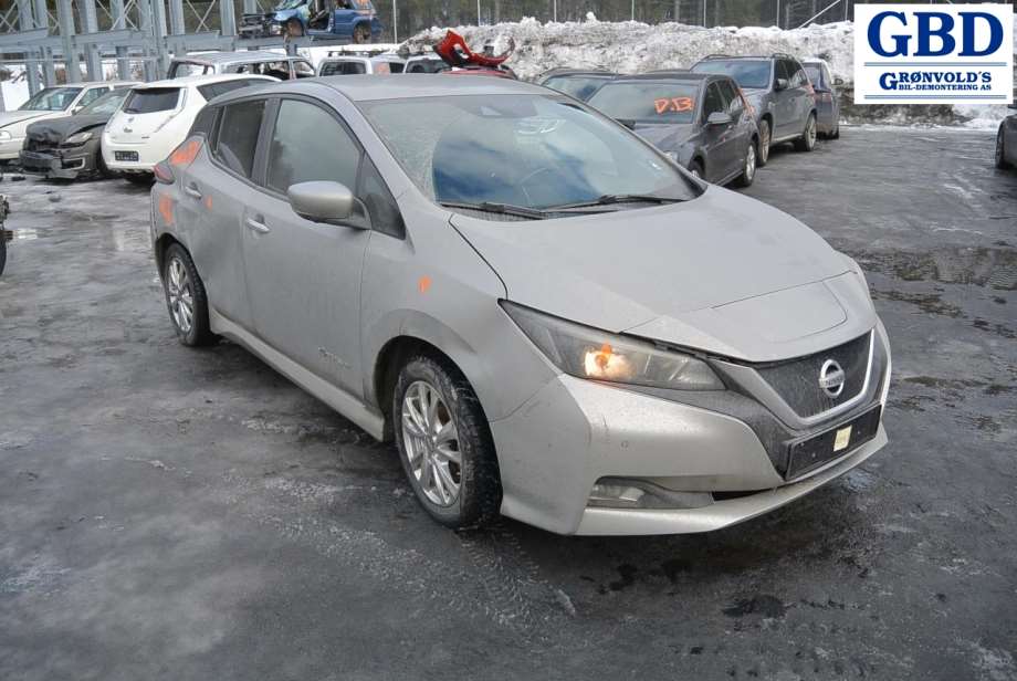 Nissan Leaf, 2018- (Type II) (963015SH1D|963015SH1E)