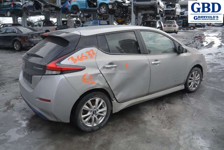 Nissan Leaf, 2018- (Type II) (963015SH1D|963015SH1E)