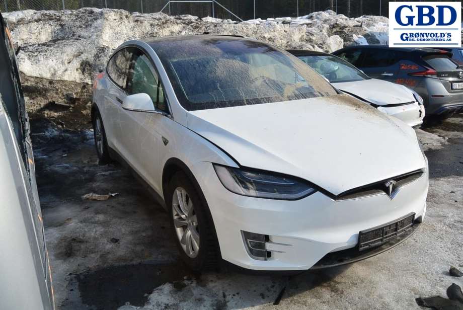 Tesla Model X, 2016- (1027361-00-B)