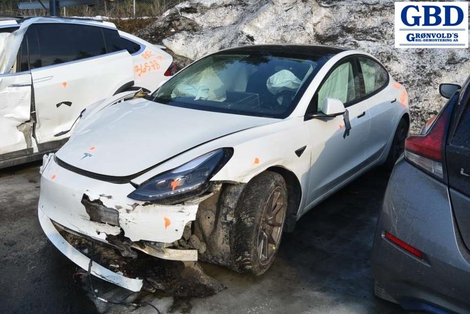 Tesla Model 3, 2018-2023 (Fase 1) (1044341-00-D)