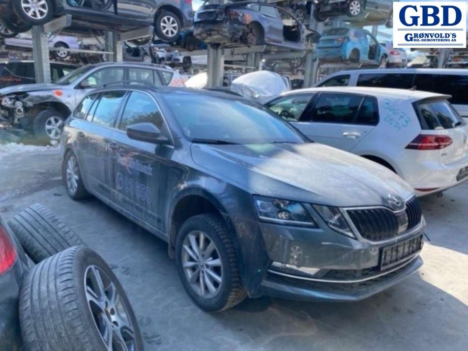 Škoda Octavia, 2017-2020 (Type III, Fase 2) (5Q0 121 203 DA)