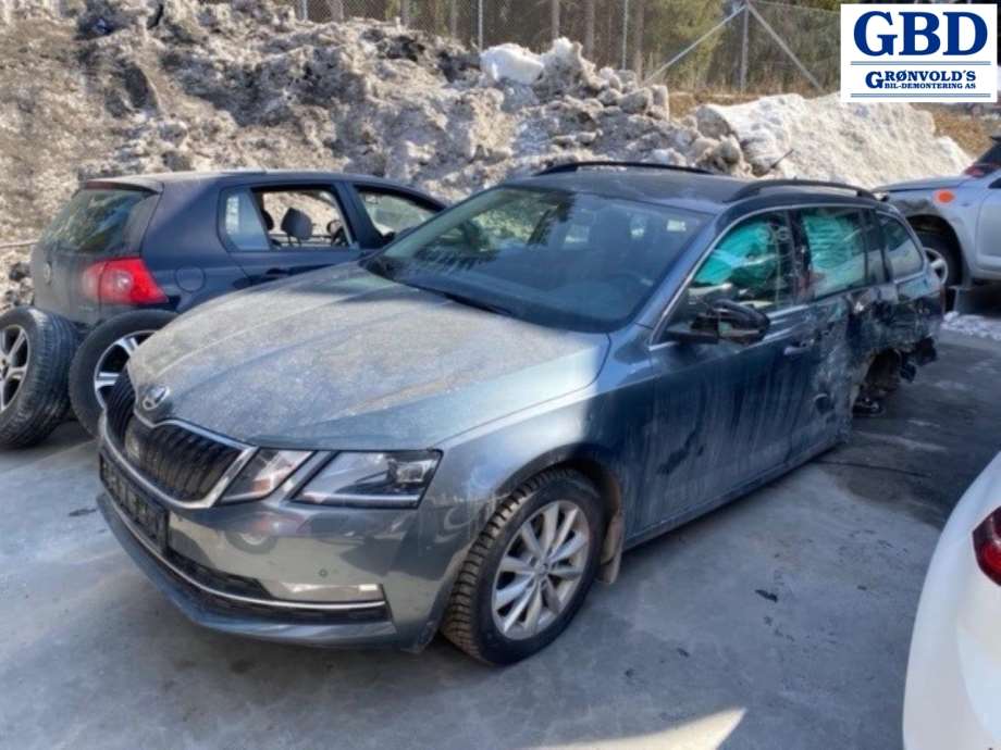 Škoda Octavia, 2017-2020 (Type III, Fase 2) (5Q0 614 517 EF)