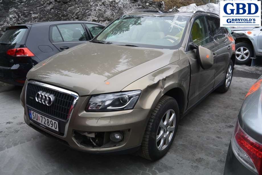 Audi Q5, 2008-2012 (Type I, Fase 1) (8T0 919 609 G)