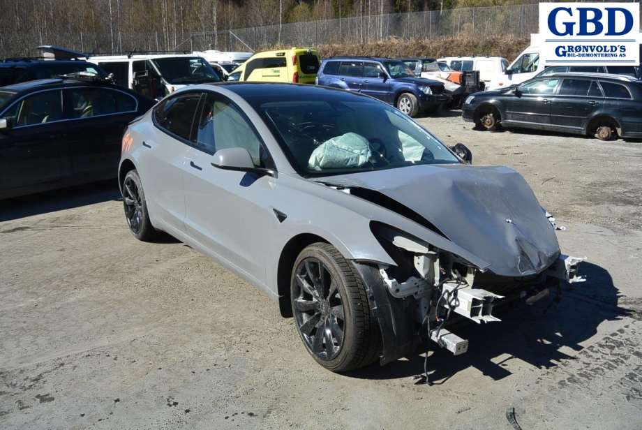 Tesla Model 3, 2018-2023 (Fase 1) (TESLA|1120960-20-G)