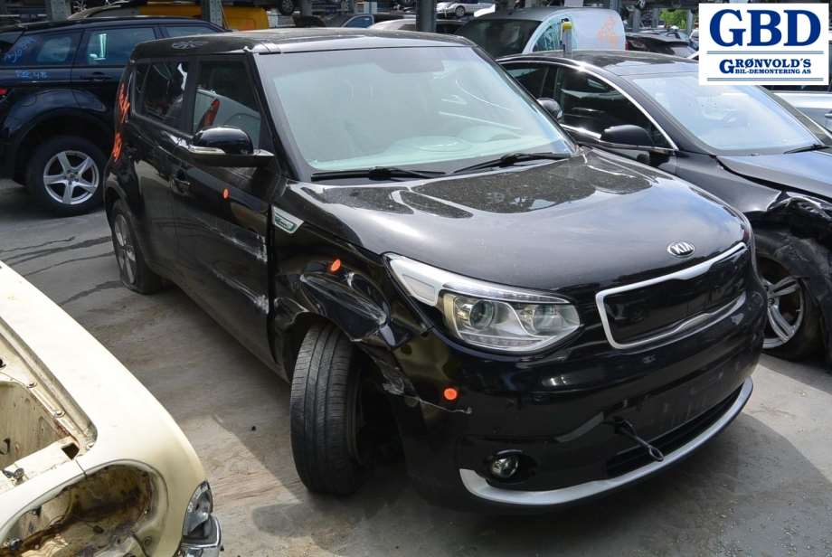 Kia Soul, 2014-2019 (Type II) (92401E 4020)