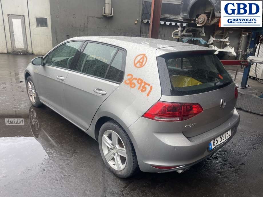 VW Golf VII, 2012-2017 (Fase 1) (5G1 955 023 D|5G1 955 119A)