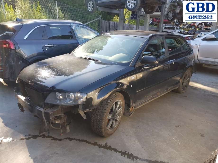 Audi A3, 2003-2008 (Type II, Fase 1) (8P0 941 029 R)