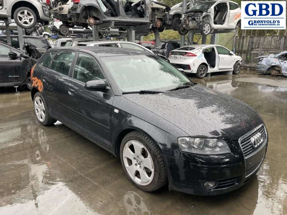 Audi A3, 2003-2008 (Type II, Fase 1)