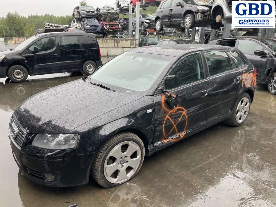 Audi A3, 2003-2008 (Type II, Fase 1)