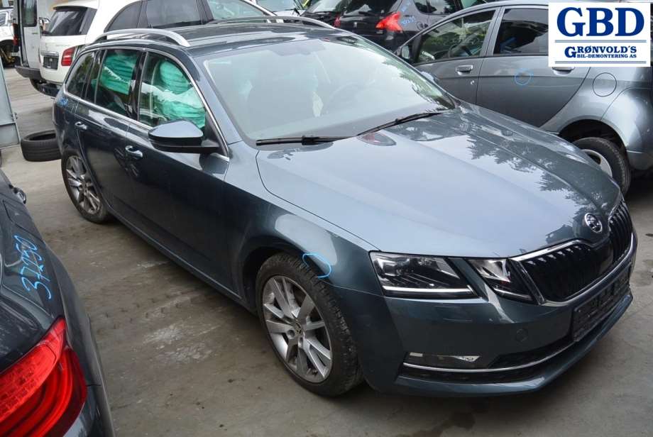 Škoda Octavia, 2017-2020 (Type III, Fase 2) (5Q0 131 877 F|5Q0 131 877 T)