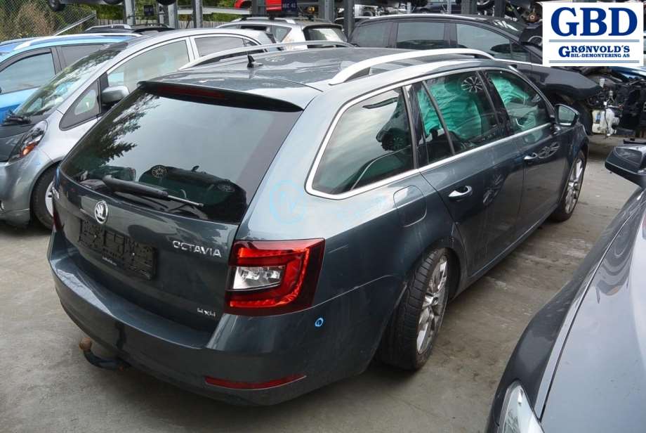 Škoda Octavia, 2017-2020 (Type III, Fase 2) (5Q0 131 877 F|5Q0 131 877 T)