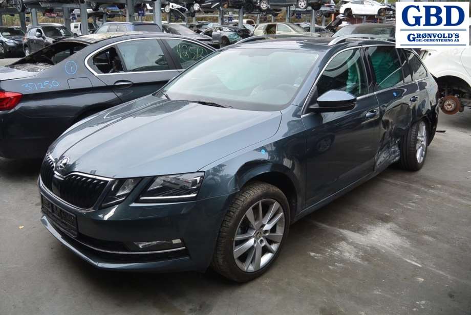 Škoda Octavia, 2017-2020 (Type III, Fase 2) (5Q0 131 877 F|5Q0 131 877 T)