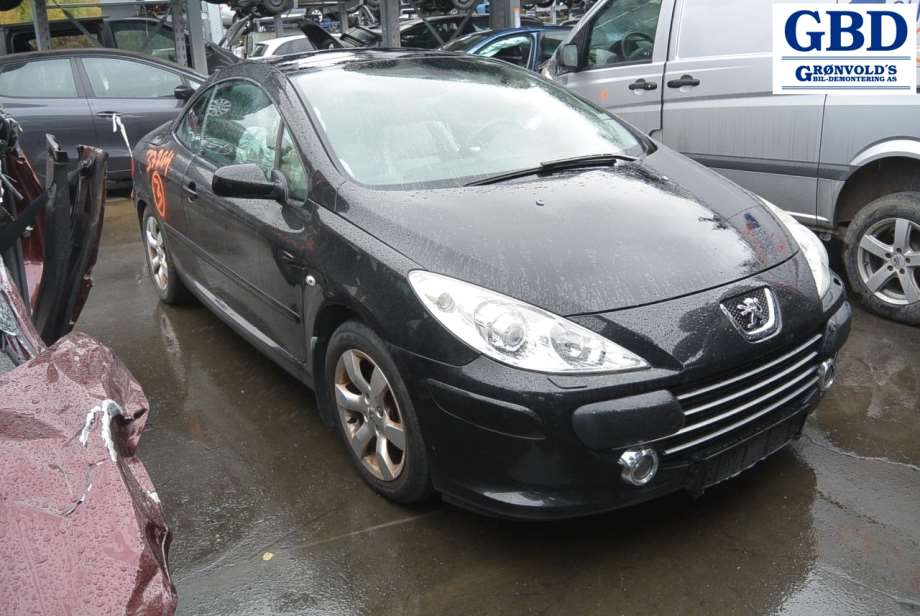 Peugeot 307, 2005-2008 (Fase 2) (VALEO|6924 J0|9650001680|89204712)