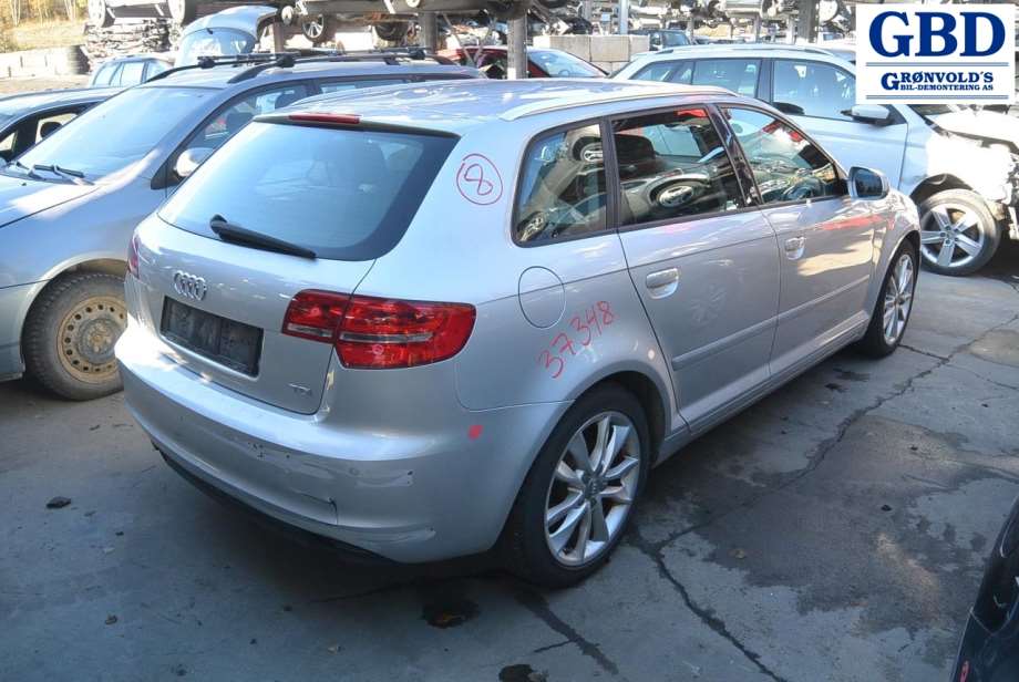 Audi A3, 2009-2012 (Type II, Fase 2) (8P0959802Q|05080537)