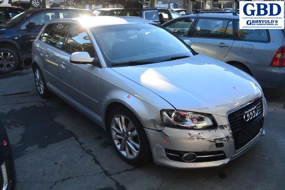 Audi A3, 2009-2012 (Type II, Fase 2) (8P0959802Q|05080537)