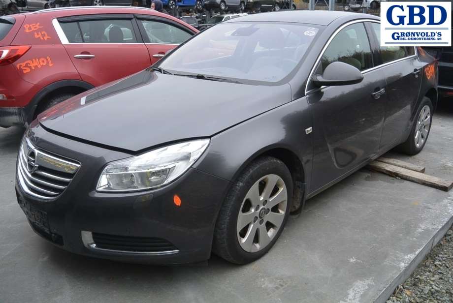 Opel Insignia A, 2009-2014 (Fase 1) (13262836|95521426| P13232305|02624009863)