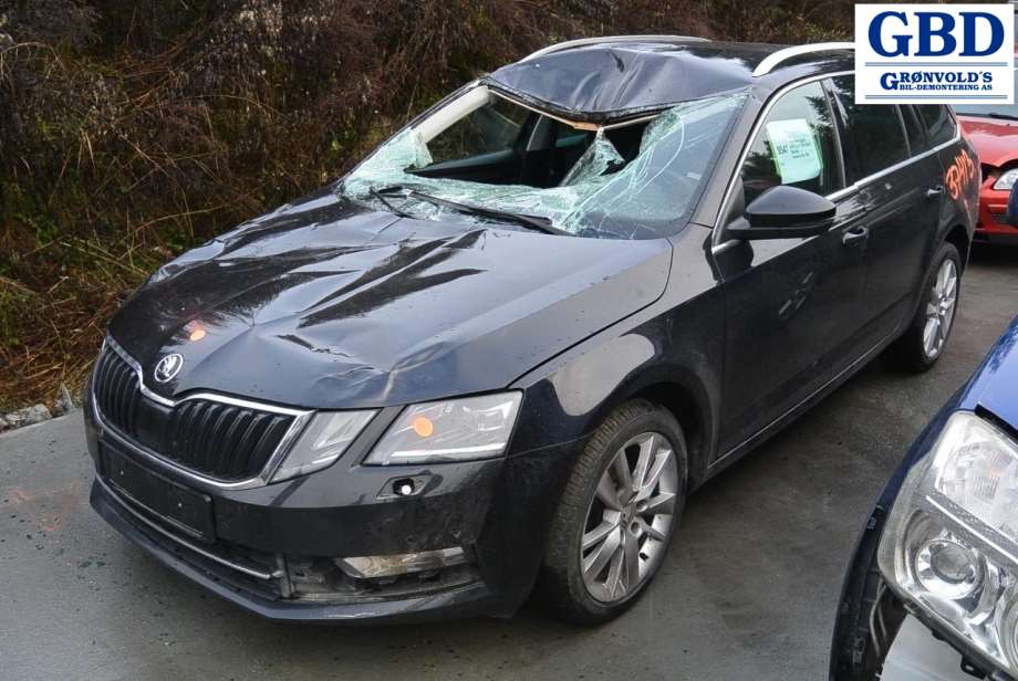 Škoda Octavia, 2017-2020 (Type III, Fase 2) (5E0 907 044 AT)