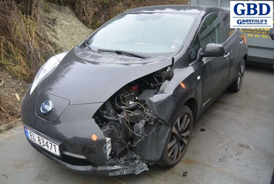 Nissan Leaf, 2011-2017 (Type I) (H0100-3NLAA|H0100-3NLMA)