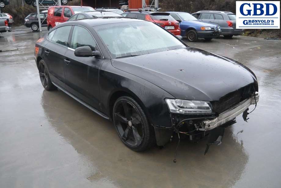 Audi A5, 2007-2016 (Type I) (8R0 419 091 F)