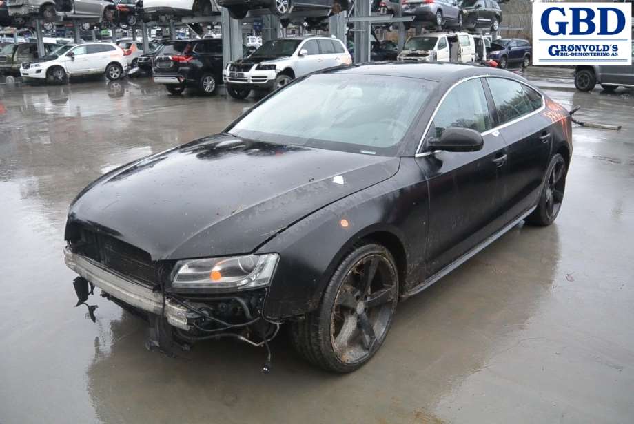 Audi A5, 2007-2016 (Type I) (8R0 419 091 F)