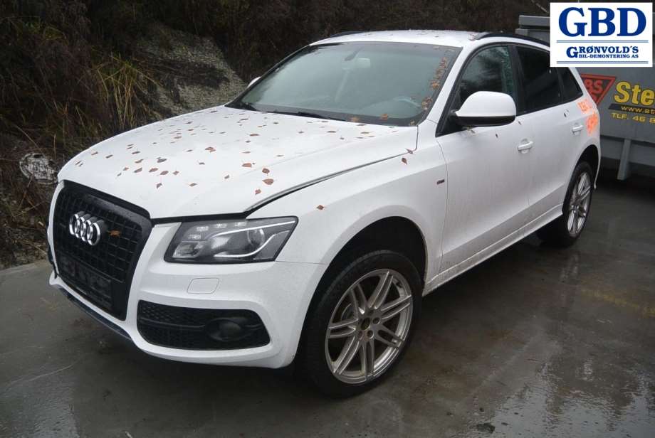 Audi Q5, 2008-2012 (Type I, Fase 1) (LRZ|0B2 300 028 E)