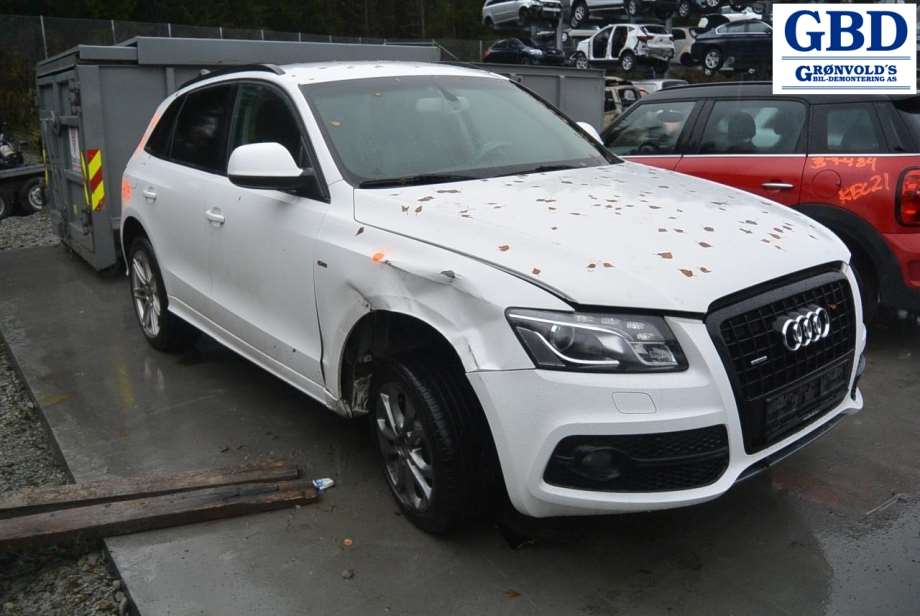 Audi Q5, 2008-2012 (Type I, Fase 1) (LRZ|0B2 300 028 E)