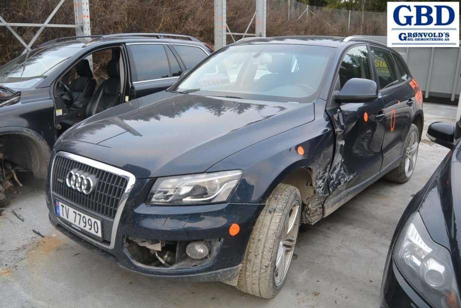 Audi Q5, 2008-2012 (Type I, Fase 1) ( TRW-GIRLING|8K0 615 123 J|8K0 615 123 D)