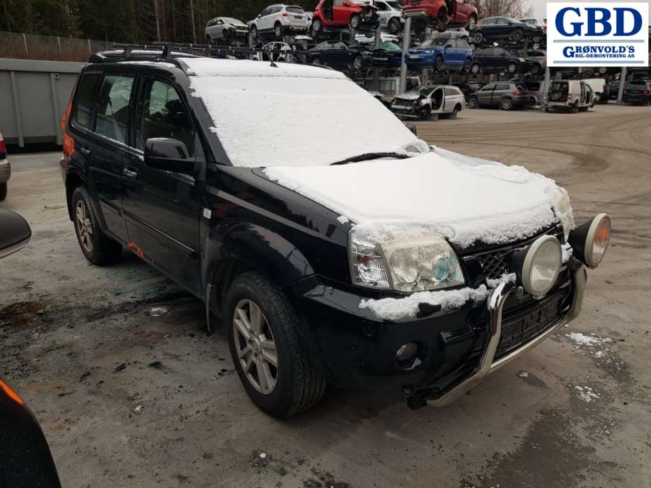 Nissan X-Trail, 2002-2007 (T30) (806078H561|80607EQ00A)