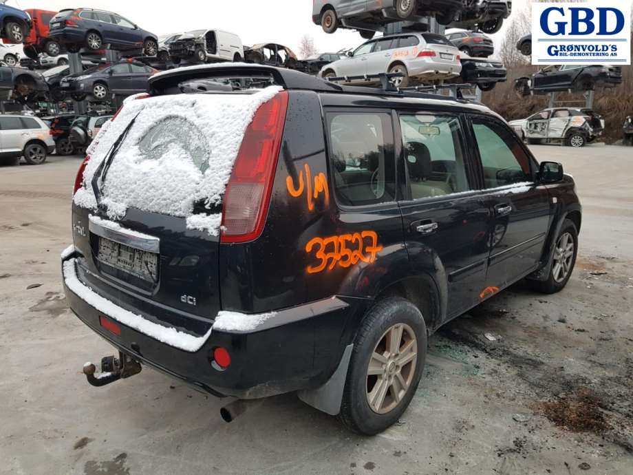 Nissan X-Trail, 2002-2007 (T30) (806078H561|80607EQ00A)