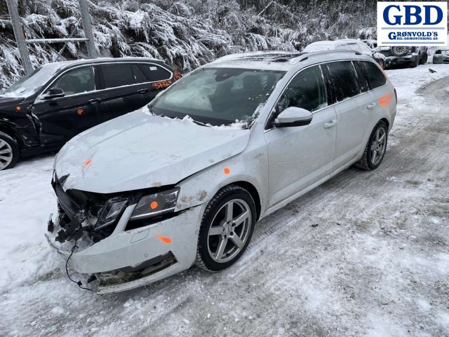 Škoda Octavia, 2017-2020 (Type III, Fase 2) (8V0 615 124 D|8V0 615 124 A)