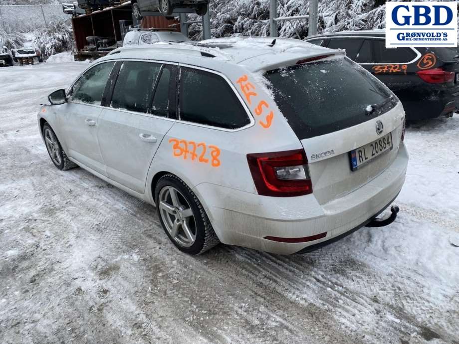 Škoda Octavia, 2017-2020 (Type III, Fase 2) (8V0 615 124 D|8V0 615 124 A)