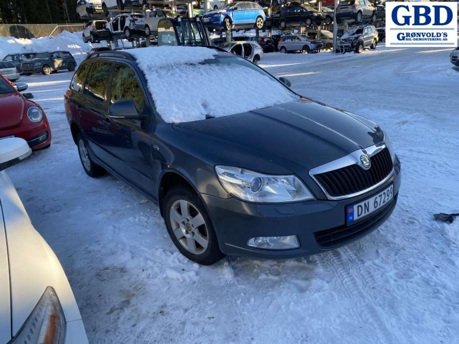 Škoda Octavia, 2009-2013 (Type II, Fase 2) (HELLA|1Z0 941 641 B|5DV 009 610-00)