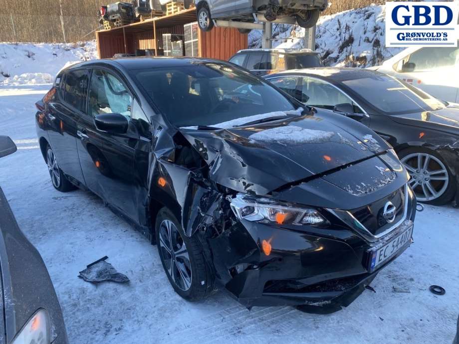 Nissan Leaf, 2018- (Type II)