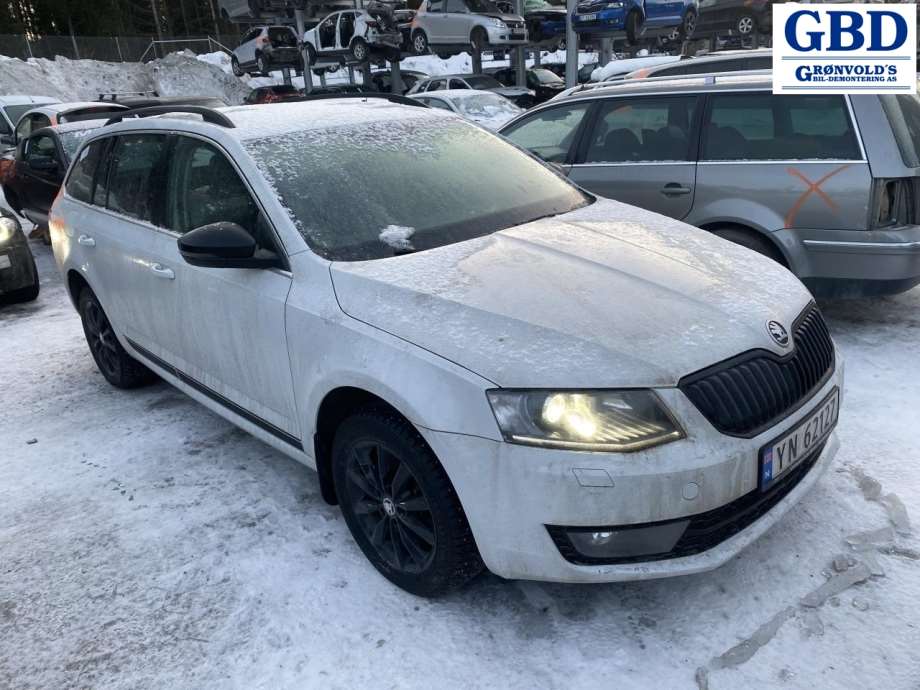 Škoda Octavia, 2017-2020 (Type III, Fase 2) (8V0 615 124 D|8V0 615 124 A)