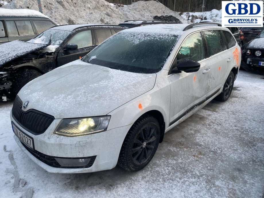 Škoda Octavia, 2017-2020 (Type III, Fase 2) (8V0 615 124 D|8V0 615 124 A)