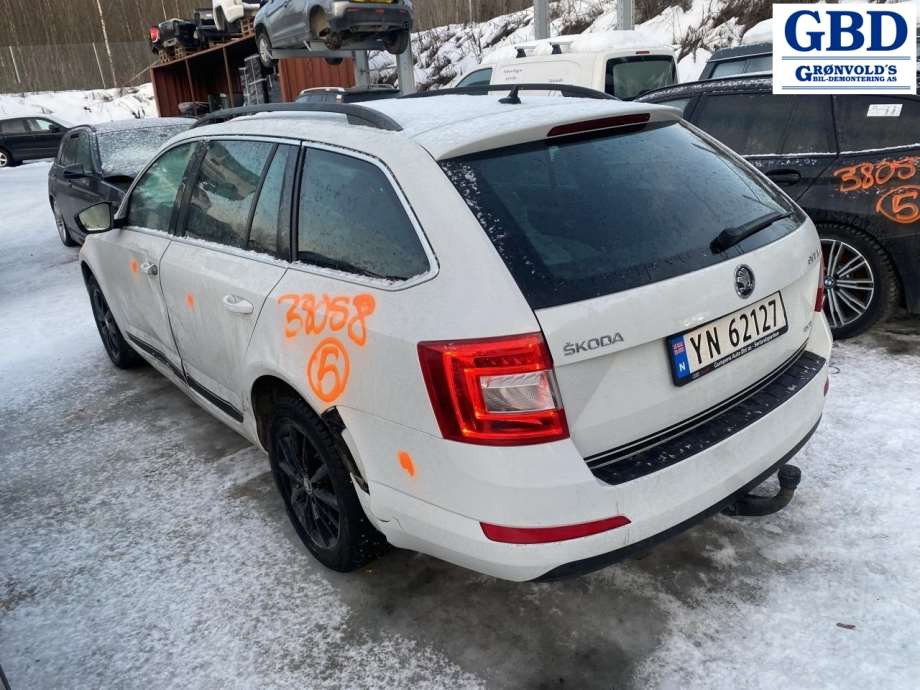 Škoda Octavia, 2017-2020 (Type III, Fase 2) (8V0 615 124 D|8V0 615 124 A)