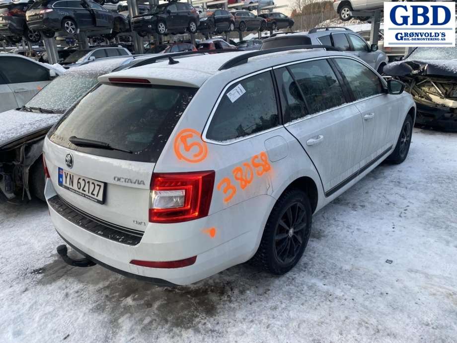 Škoda Octavia, 2017-2020 (Type III, Fase 2) (8V0 615 124 D|8V0 615 124 A)