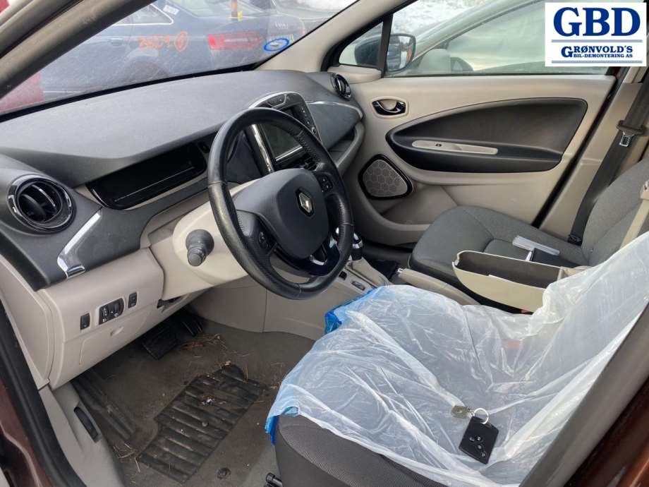 Renault Zoe, 2013-2019 (Fase 1) (391018882R)