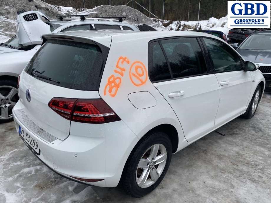 VW e-Golf, 2014-2017 (Fase 1) (18|5QE 915 590 AT)