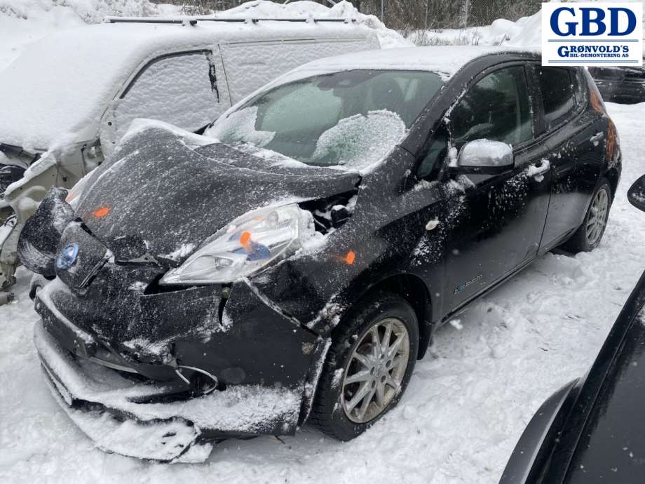 Nissan Leaf, 2011-2017 (Type I) (391003NF1A)