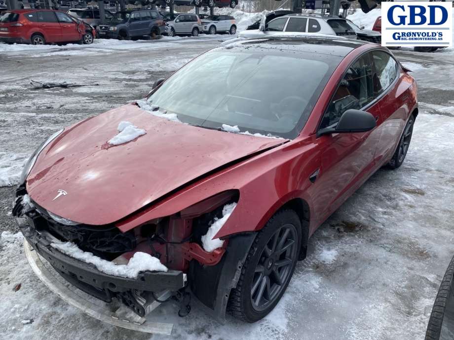 Tesla Model 3, 2018-2023 (Fase 1) (1097662-00-O)