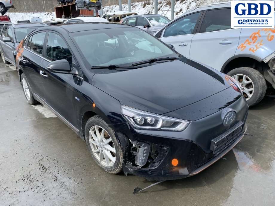 Hyundai Ioniq Electric, 2016-2019 (Fase 1) (96395G 2000)