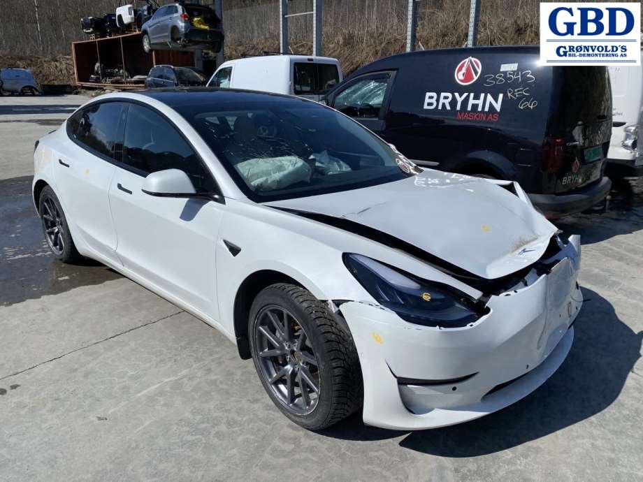 Tesla Model 3, 2018-2023 (Fase 1) (1109003-00-D)