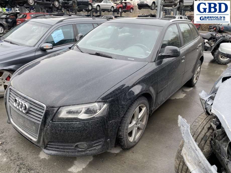 Audi A3, 2009-2012 (Type II, Fase 2) (1K0 615 424 J)